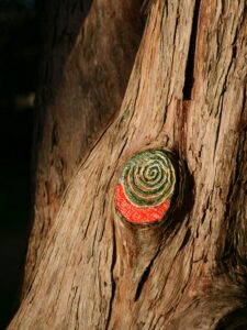Un serpent sur un arbre